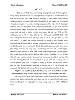 đánh giá tác động tới môi trường dự án xây dựng khu công nghiệp Phố Nối B