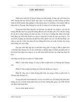 Thực trạng hoạt động sản xuất kinh doanh của công ty Đầu tư phát triển và Thương Mại Hoàng Lộc