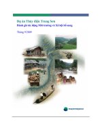 đánh giá tác động môi trường và xã hội dự án thủy điên Trung Sơn