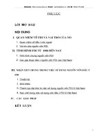 Sử dụng vốn FDI ở Việt Nam