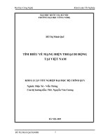 tìm hiểu về mạng điện thoại di động tại Việt Nam