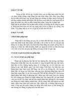 pháp luật - vai trò và giá trị xã hội