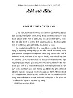 thực trạng phát triển kinh tế tư nhân Việt Nam hiện nay như thế nào? các giải pháp phát triển kinh tế tư nhân Việt Nam