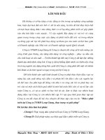 Đầu tư phát triển tại công ty TNHH Long Gian, thực trạng và giải pháp