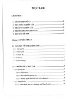 479 Mở rộng hoạt động quảng cáo - khuyến mãi cho hệ thống siêu thị Maximark