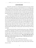 Một số biện pháp khai thác tốt nguồn hàng và phát triển khách hàng của công ty