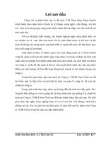 Một số ý kiến đóng góp nhằm hoàn thiện công tác tại Công ty Tnhh Nam Vinh