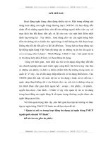 Quản trị rủi ro trong hoạt động tín dụng tại ngân hàng TMCP ngoài quốc doanh VP Bank