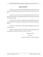 hệ thống tìm kiếm thông tin trên kho tài liệu tiếng Việt