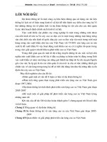 Dự đoán thống kê về sản lượng cao su của Việt Nam giai đoạn 2005 -2007