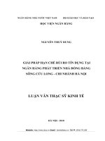 GIẢI PHÁP HẠN CHẾ RỦI RO TÍN DỤNG TẠI  NGÂN HÀNG PHÁT TRIỂN NHÀ ĐỒNG BẰNG  SÔNG CỬU LONG - CHI NHÁNH HÀ NỘI