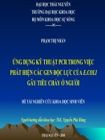 ỨNG DỤNG KỸ THUẬT PCR TRONG VIỆC  PHÁT HIỆN CÁC GEN ĐỘC LỰC CỦA E.COLI  GÂY TIÊU CHẢY Ở NGƯỜI