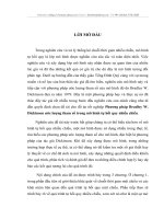 hương pháp Bradley W. Dickinson ước lượng tham số trong mô hình tự hồi quy nhiều chiều