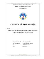 TĂNG CƯỜNG HUY ĐỘNG VỐN TẠI NGÂN HÀNG TMCP ĐẠI DƯƠNG - OCEANBANK