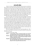 Đầu tư trực tiếp nước ngoài FDI với vấn đề tạo việc làm cho người lao động Việt Nam trong tiến trình toàn cầu hóa