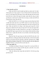 Hoàn thiện chính sách Quản lý Ngoại hối ở Việt Nam trong tiến trình hội nhập kinh tế quốc tế