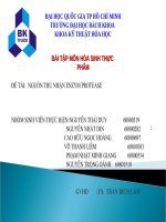 NGUỒN THU NHẬN EMZYM PROTEASE VÀ ỨNG DỤNG