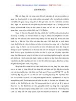 chế định kiểm soát viên - một số vấn đề lý luận và thực tiễn