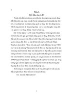 Thực tiễn giải quyết tranh chấp theo thủ tục TTDS của Toà án địa phương