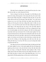 Hoàn thiện việc xây dựng chiến lược sản xuất kinh doanh của Công ty TNHH Phương Lan