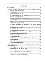 Thu hút đầu tư trực tiếp nước ngoài tại Việt Nam giai đoạn 2006-2010. Thực trạng và giải pháp