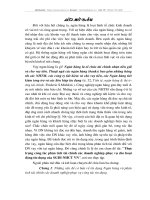 Thực trạng công tác phân tích tài chính của doanh nghiệp phục vụ cho hoạt động tín dụng của SGDI-NHCT VN