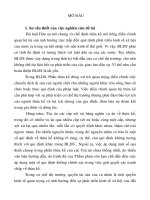 Cơ sở lý luận và thực tiễn của những qui  định chung về thừa kế trong Bộ luật Dân sự