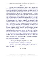 Lý luận về lạm phát , thực trạng và sự vận dụng ở Việt Nam