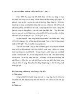 Sự hình thành và phát triển của công ty dệt 8/3