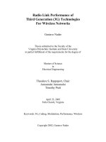 Radio Link Performance of  Third Generation (3G) Technologies  For Wireless Networks