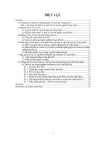 Việc bán một. hàng hoá ở nước ngoài ở mức giá thấp hơn so với mức giá ở thị trường trong nước