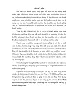 1 Giải pháp Marketing nhằm đẩy mạnh khả năng tiêu thụ sản phẩm ở Công ty TNHH Giang Nam