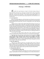 THIẾT LẬP MÔ HÌNH QUẢN TRỊ HÀNG TỒN KHO TẠI XÍ NGHIỆP CHẾ BIẾN LƯƠNG THỰC 1 TRỰC THUỘC CÔNG TY XUẤT NHẬP KHẨU AN GIANG (ANGIMEX)