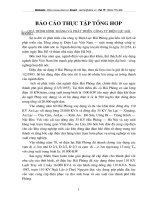 Tổng quan về công ty điện lực Hải Phòng