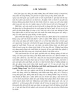 225 Hoàn thiện chiến lược marketing xuất khẩu mặt hàng giầy vải của Công ty giầy Thăng Long