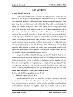 Thực trạng kinh doanh và một số giải pháp nâng cao hiệu quả hoạt động marketing lĩnh vực kinh doanh vi tính cho công ty TNHH TM-DV Thiên Hà Xanh