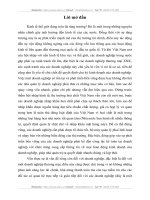 Phương hướng hoàn thiện kế toán vốn bằng tiền tại công ty Cổ Phần SX&TM hoá chất An Phú.