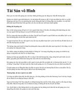 Tài Sản vô Hình