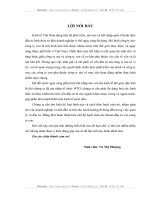 các khoản đầu tư vào công ty con