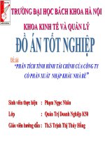 Phân tích tình hình tài chính của công ty CP XNK Nhà Bè