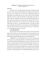 VẤN ĐỀ HỆ THỐNG HOÁ PHÁP LUẬT  NƯỚC TA HIỆN NAY