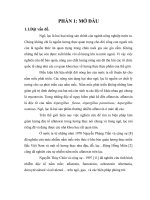 công nghệ khử nghiễm aflatoxin trên ngô, lạc ở mức độ cao bằng một số chủng vi khuẩn và vi nấm