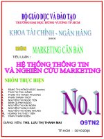 Hệ thống thông tin nghiên cứu marketing