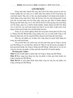 Một số vấn đề tiêu thụ sản phẩm và hiệu quả kinh doanh của Công ty thương mại Hải Phòng