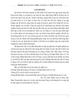 Tổng quan về công ty cổ phần kiểm toán và tư vấn