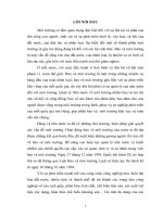 Vi phạm pháp luật trong lĩnh vực bảo vệ môi trường