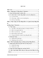 Định hướng chiến lược phát triển của tổng công ty Vinaconex