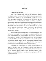 Những giải pháp tổ chức lại hệ thống thông tin quản lý ở Công ty Điện lực 3 trong giai đoạn hiện nay