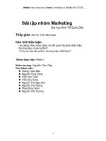 Bài tập nhóm Marketing