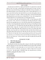 Phân tích các hình thức chế tài trong HĐMBTS theo quy định của Luật dân sự và các hình thức chế tài trong hợp đồng mua bán hàng hoá theo quy định của LTM